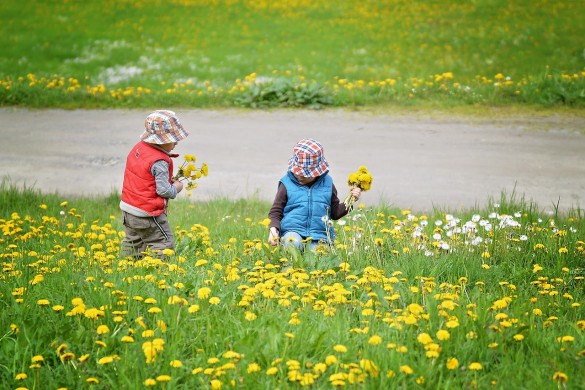 copii culeg flori